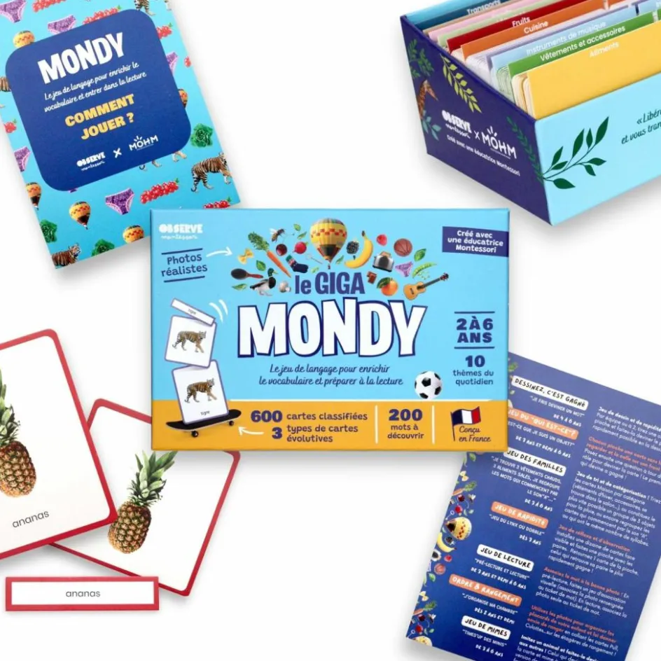 Sale Observe Édition Coffret Giga Mondy (600 cartes Montessori pour développer le langage)