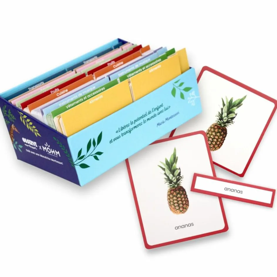 Sale Observe Édition Coffret Giga Mondy (600 cartes Montessori pour développer le langage)
