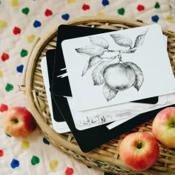 Hot Observe Édition Coffret Mondy des P'tits Artistes (20 cartes constratées en noir & blanc)