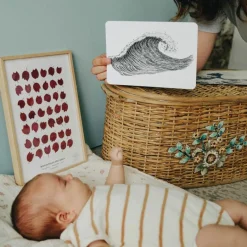 Hot Observe Édition Coffret Mondy des P'tits Artistes (20 cartes constratées en noir & blanc)