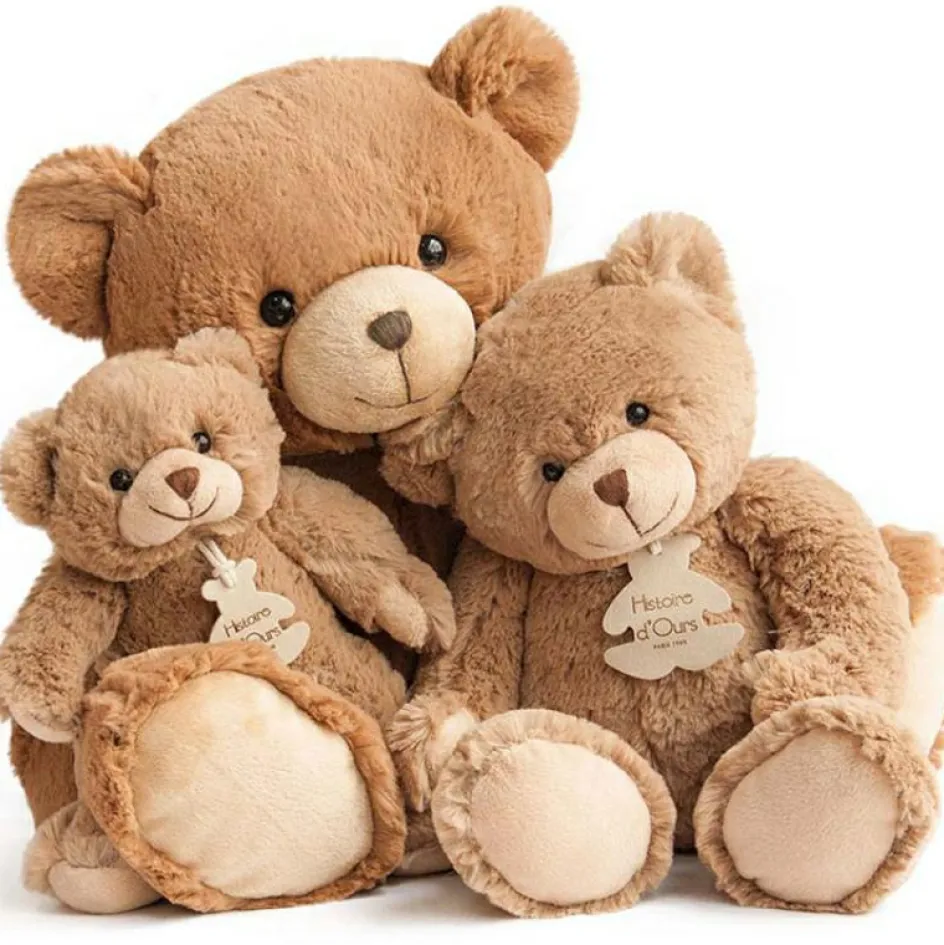 Coffret peluche Calin'ours Les Ours marron (25 cm)|Histoire d'Ours