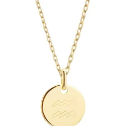Collier chaîne médaille Verseau personnalisable (plaqué or)|Petits trésors Clearance