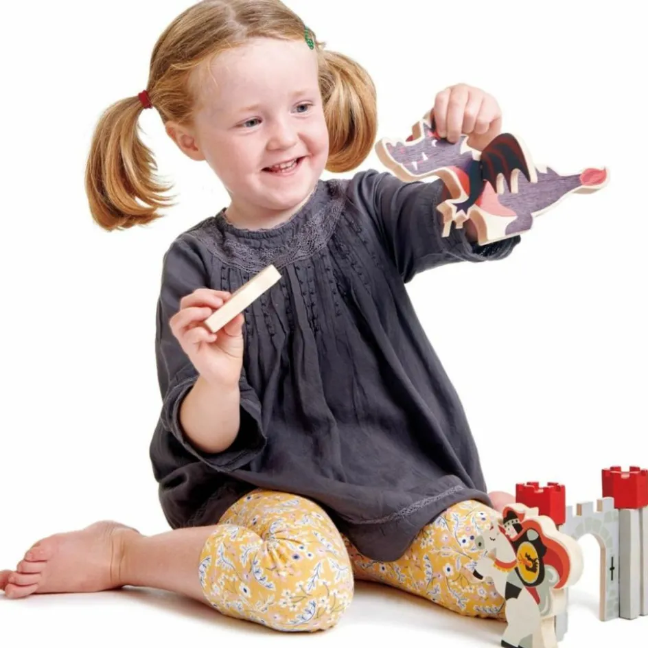 Contes de chevalier et de dragon|Tender Leaf New