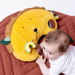 Coussin d'activités Mr. Lion|Trixie Outlet