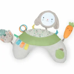 Best Ingenuity Coussin d'activités Sylvi