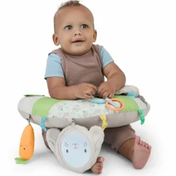 Best Ingenuity Coussin d'activités Sylvi