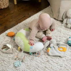 Best Ingenuity Coussin d'activités Sylvi