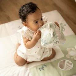 Baby's Only Cube d'activités Animals Laurel