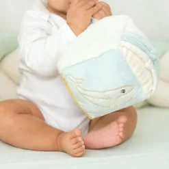 Cube d'activités Au Large de Nova|Trois Kilos Sept Online