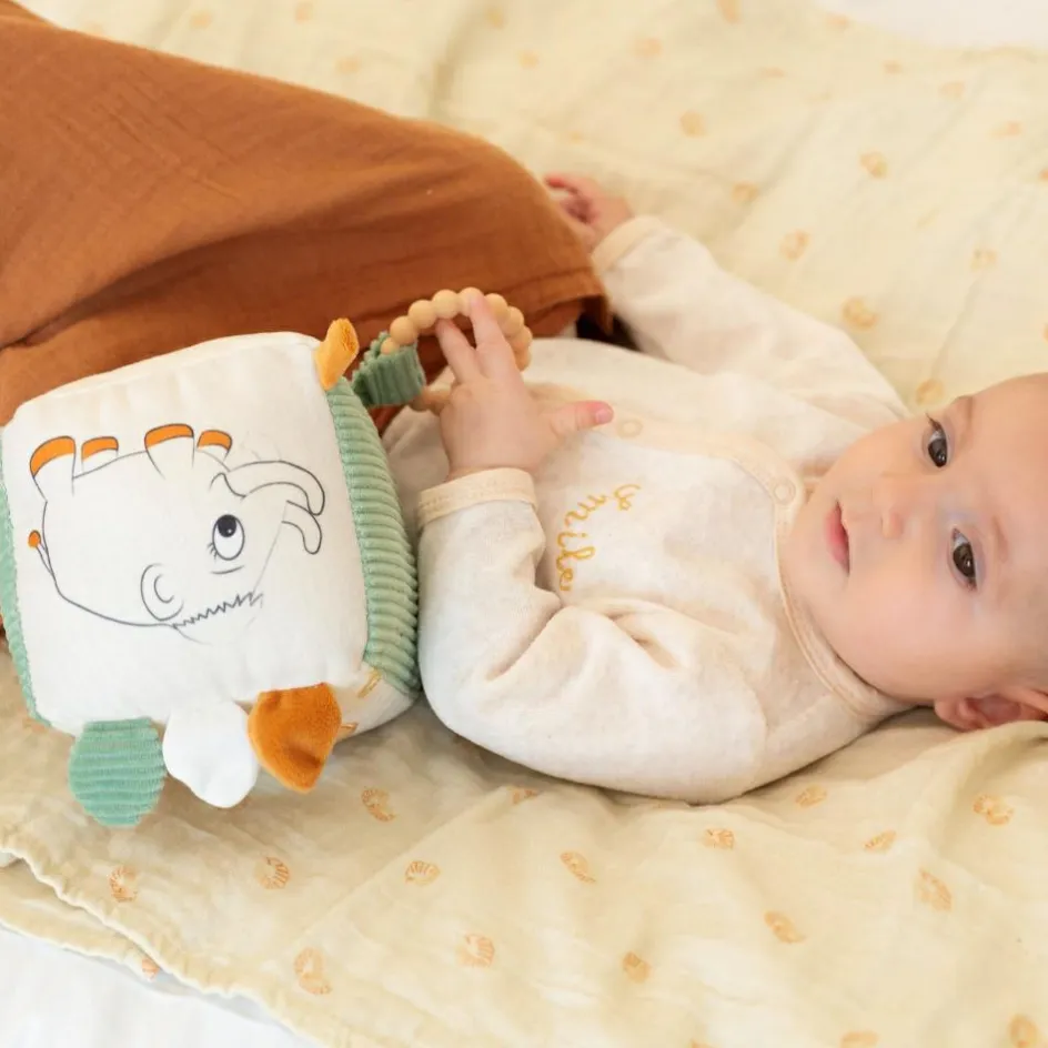 Cube d'activités Diplododo|Trois Kilos Sept Online