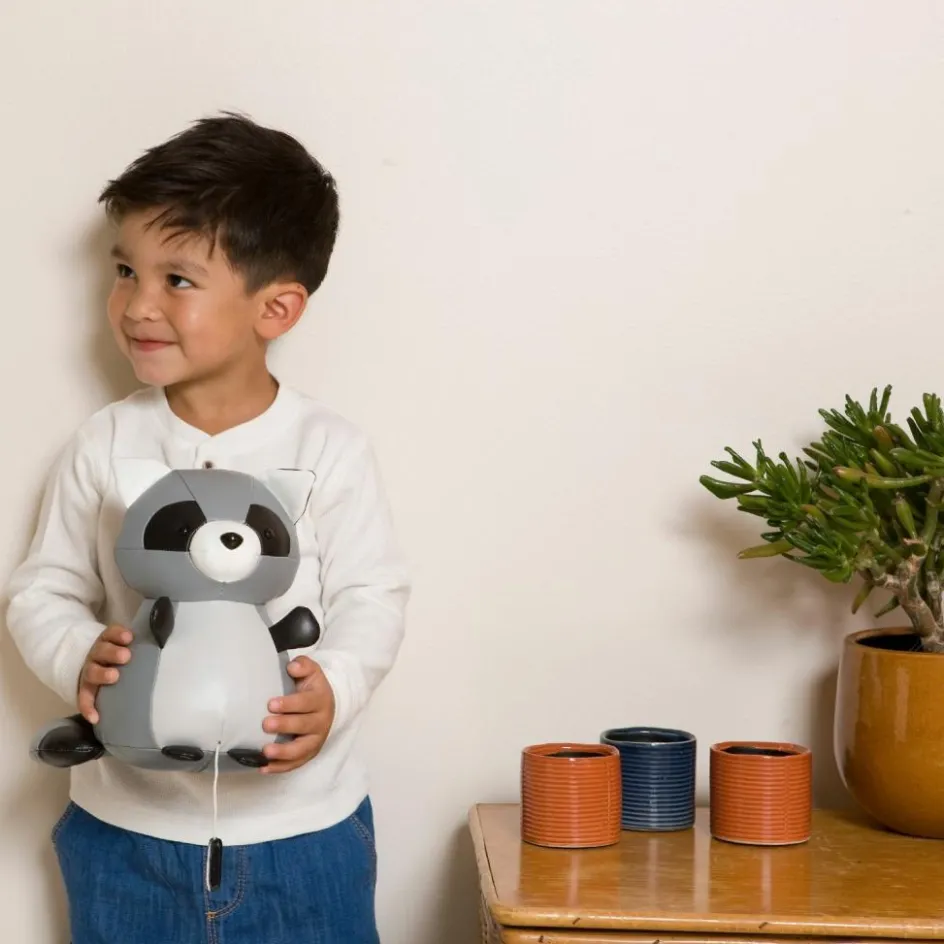 Outlet Little Big Friends Denver le Raton laveur musical