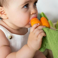 Hot Oli & Carol Doudou de dentition 2 en 1 Cathy la carotte