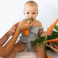 Hot Oli & Carol Doudou de dentition 2 en 1 Cathy la carotte