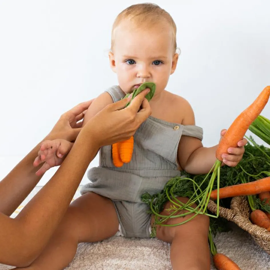 Hot Oli & Carol Doudou de dentition 2 en 1 Cathy la carotte