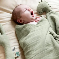 Doudou plat Bliss Sage Mr. Dino|Trixie