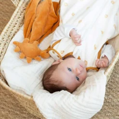 Doudou plat Diplododo|Trois Kilos Sept