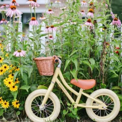 Best Banwood Draisienne First Go crème