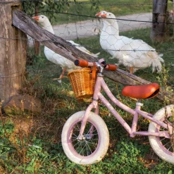 Draisienne First Go Dusty Pink|Banwood Sale