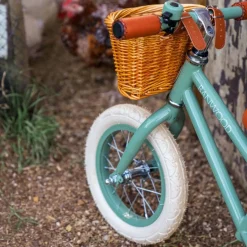 Draisienne First Go Forest|Banwood Clearance