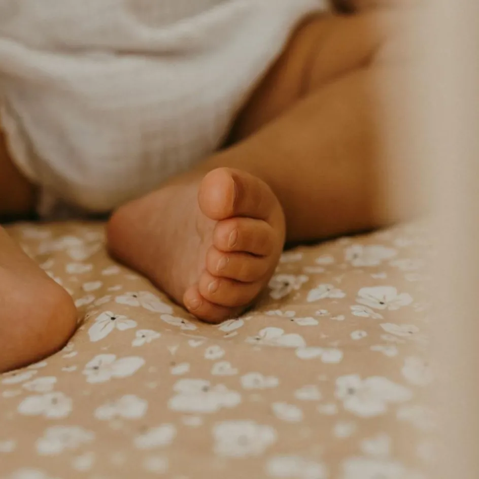 Drap housse Indian Summer (60 x 120 cm)|Zakuw Best