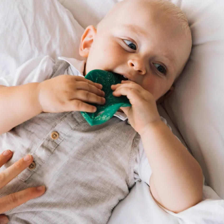 Oli & Carol Feuille de Chlorophylle jouet de dentition