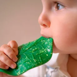 Oli & Carol Feuille de Chlorophylle jouet de dentition