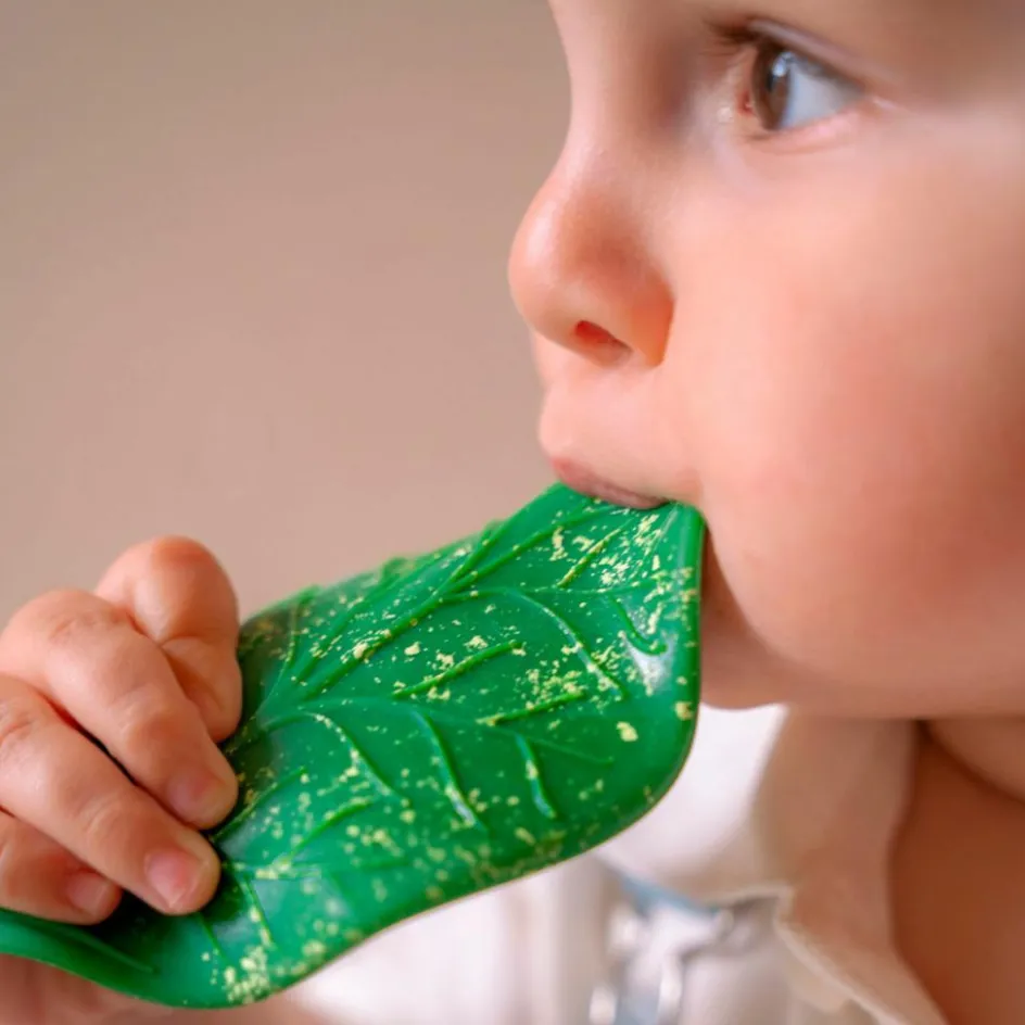 Oli & Carol Feuille de Chlorophylle jouet de dentition