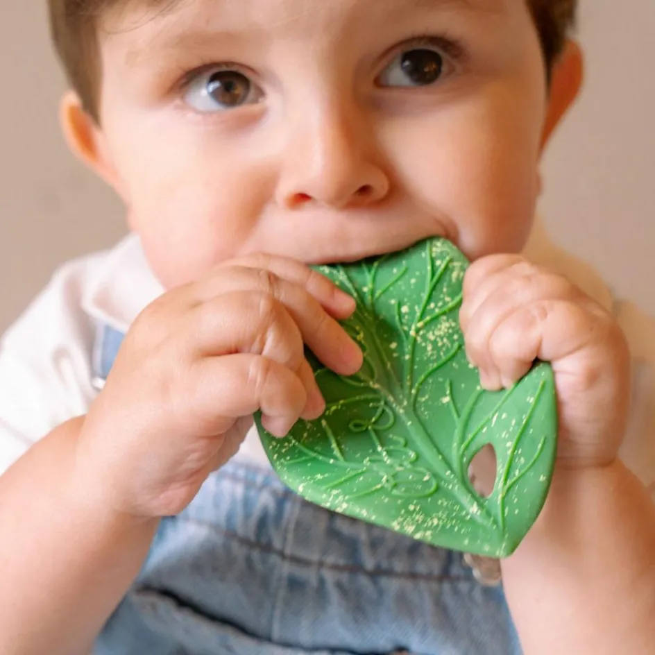 Oli & Carol Feuille de Chlorophylle jouet de dentition