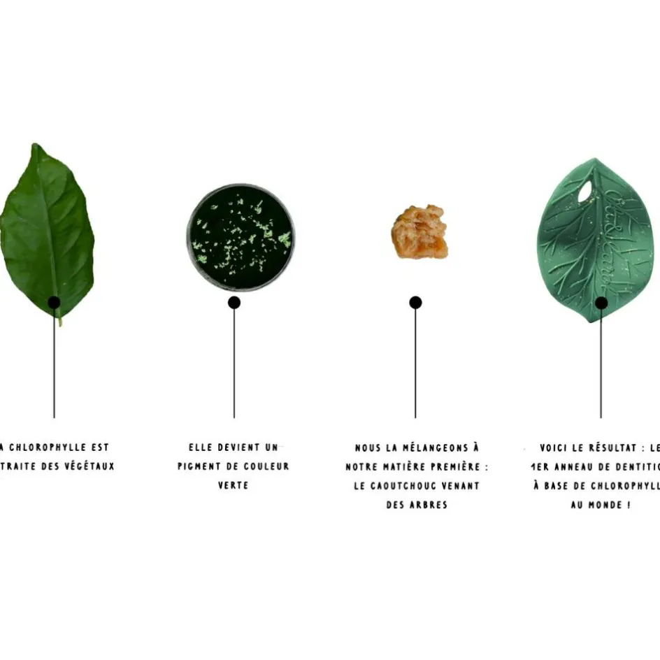 Oli & Carol Feuille de Chlorophylle jouet de dentition