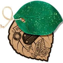 Oli & Carol Feuille de Chlorophylle jouet de dentition