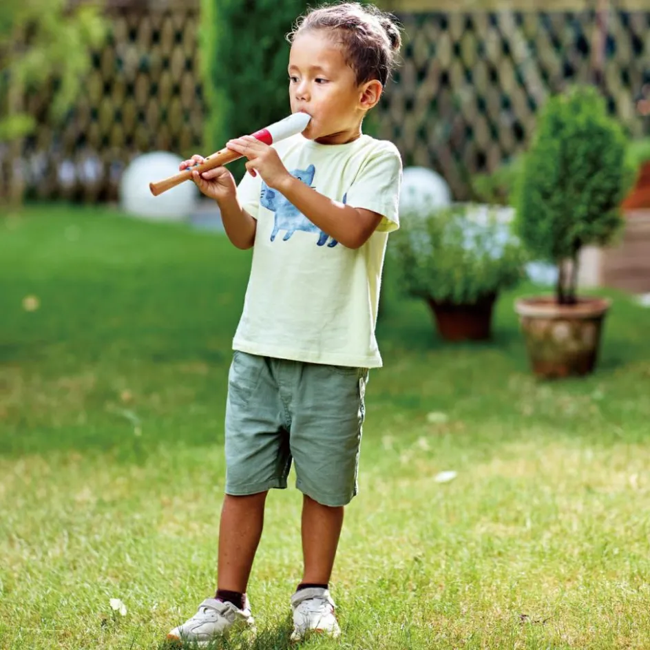 Sale Hape Flûte à bec débutant