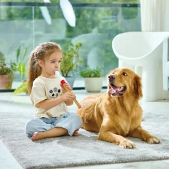 Sale Hape Flûte à bec débutant