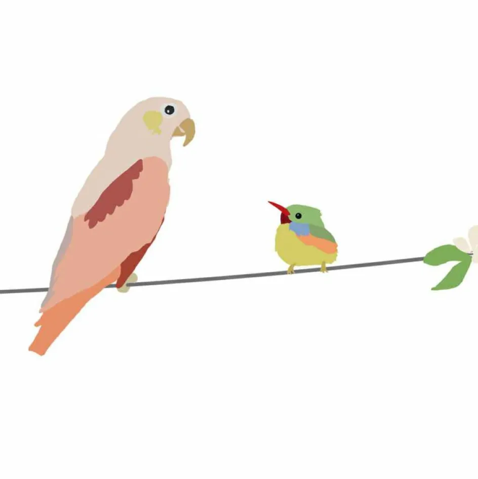 Hot Mimi'lou Frise adhésive With the birds (5 m)