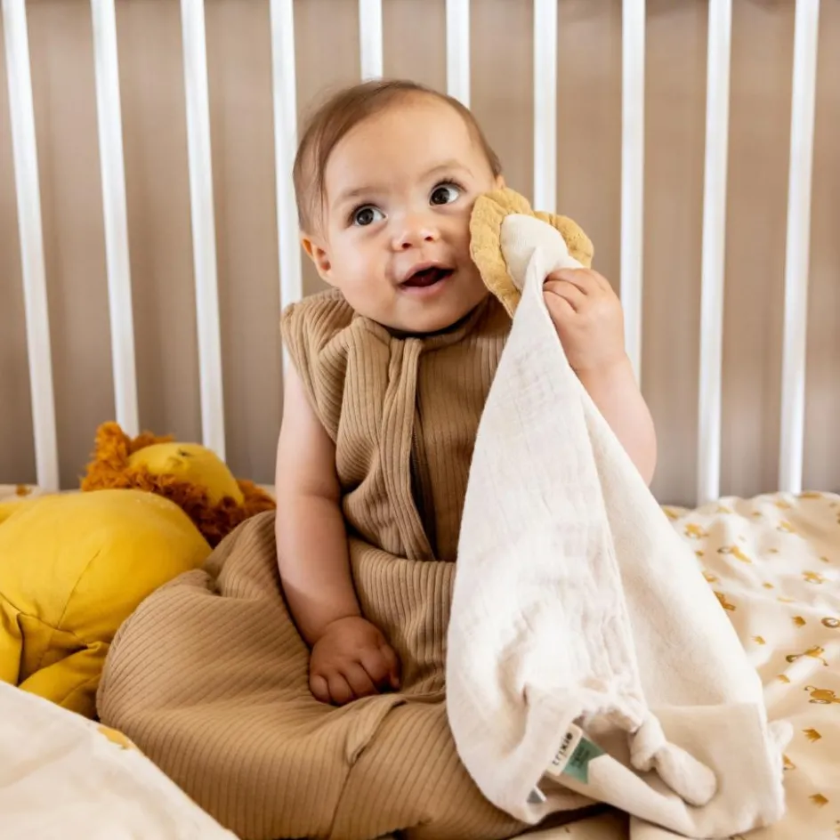 Best Trixie Gigoteuse 4 saisons TOG 2,3 Breeze Clay (0-3 mois)