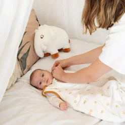 Sale Trois Kilos Sept Gigoteuse Diplododo TOG 2,5 (0-6 mois)