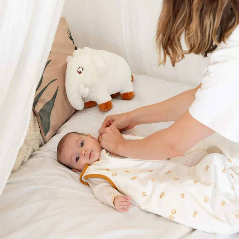 Sale Trois Kilos Sept Gigoteuse Diplododo TOG 2,5 (0-6 mois)