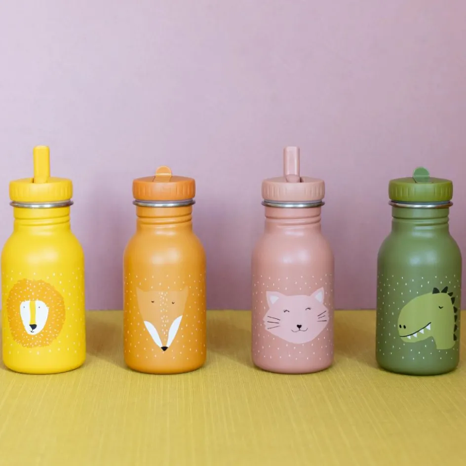 Trixie Gourde isotherme Mr. Dino (350 ml)