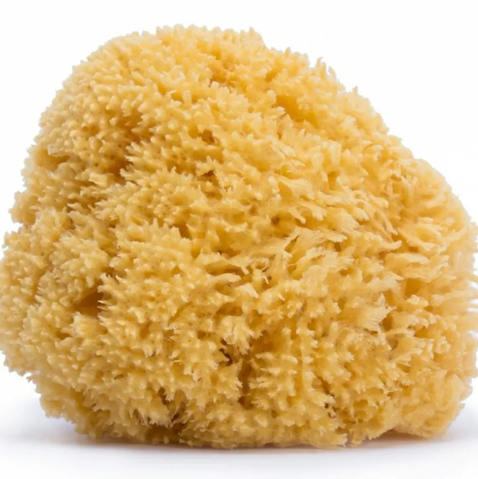 Grande éponge en fibre naturelle|Suavinex Hot