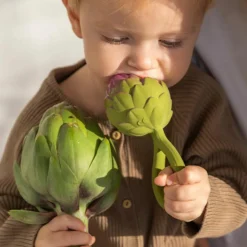 Hochet anneau de dentition 2 en 1 artichaut|Oli & Carol Sale