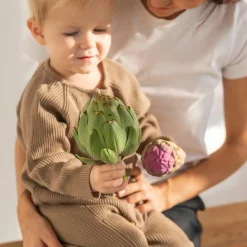 Hochet anneau de dentition 2 en 1 artichaut|Oli & Carol Sale