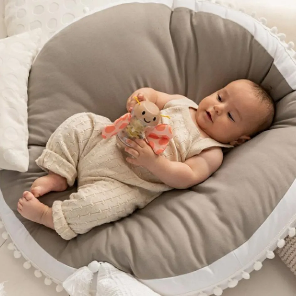 Hape Hochet bâton de pluie papillon rose (16 x 11 cm)