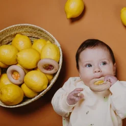 Best Petit Boum Hochet sensoriel Sensory Donut citrons