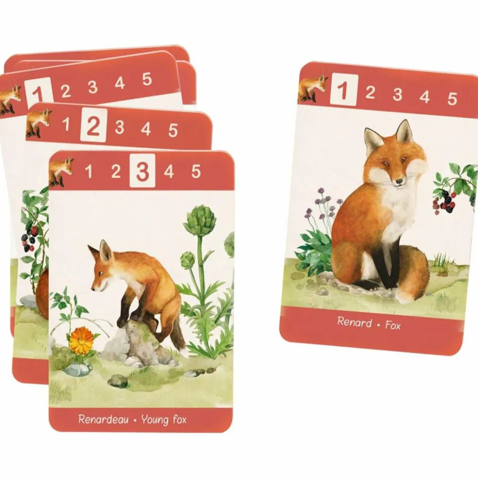 Jeu de 7 familles Le Jardin du Moulin|Moulin Roty Online