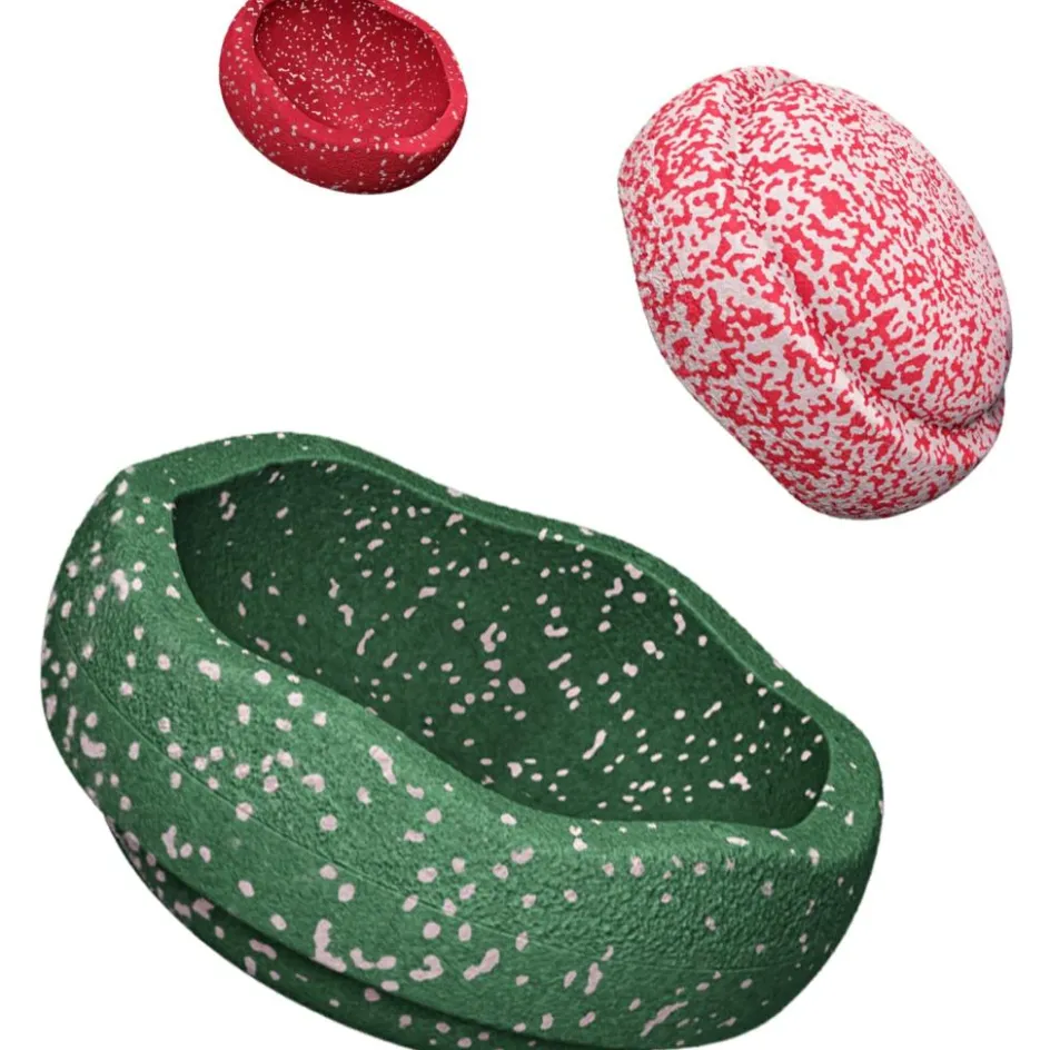 Jeu de motricité Blush Special Trilogy Set|Stapelstein Hot