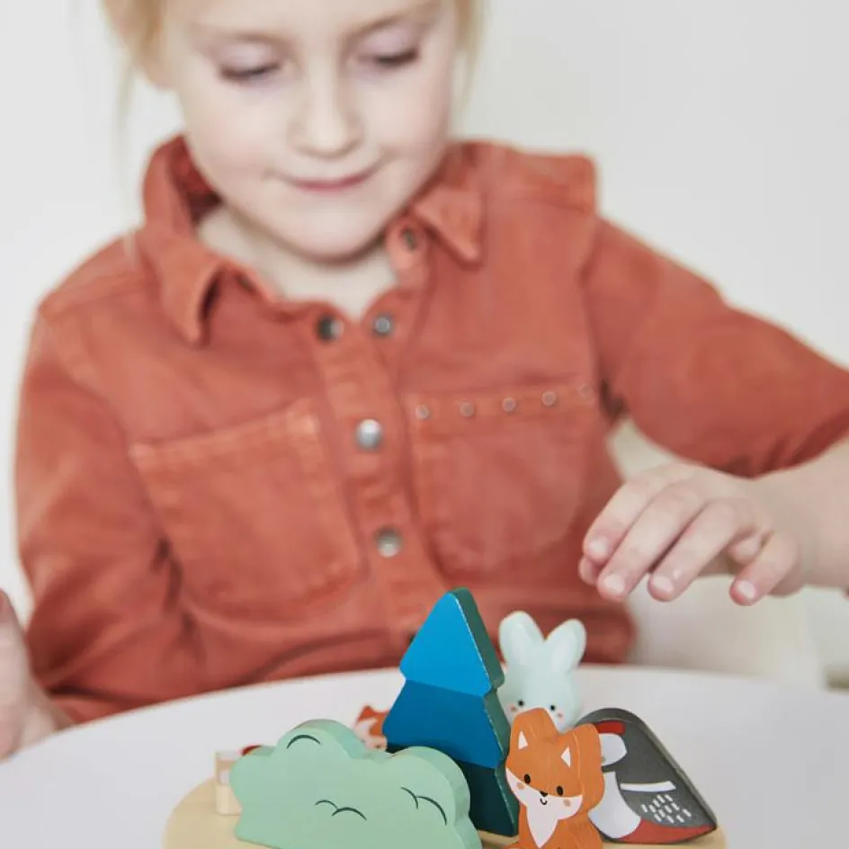 Jeu d'équilibre en bois Ecosystème WWF|Janod Outlet