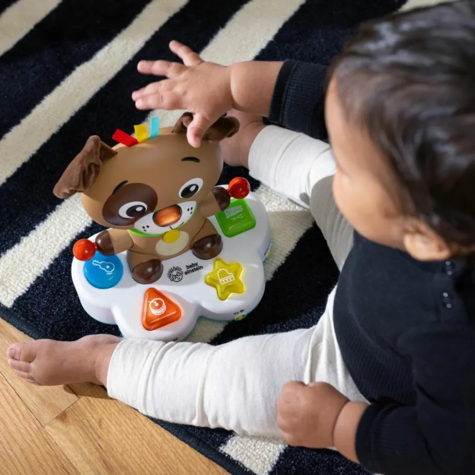 New Baby Einstein Jouet musical interactif Drum & Learn Dean