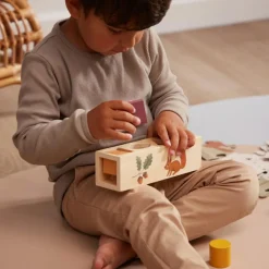 Best Filibabba Jouet trieur de formes en bois