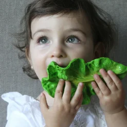 Kendall la feuille de chou en latex d'hévéa|Oli & Carol Outlet