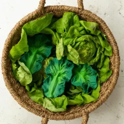 Kendall la feuille de chou en latex d'hévéa|Oli & Carol Outlet