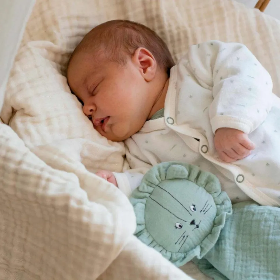 Outlet Trois Kilos Sept Kit de naissance Sauge 6 pièces (naissance)